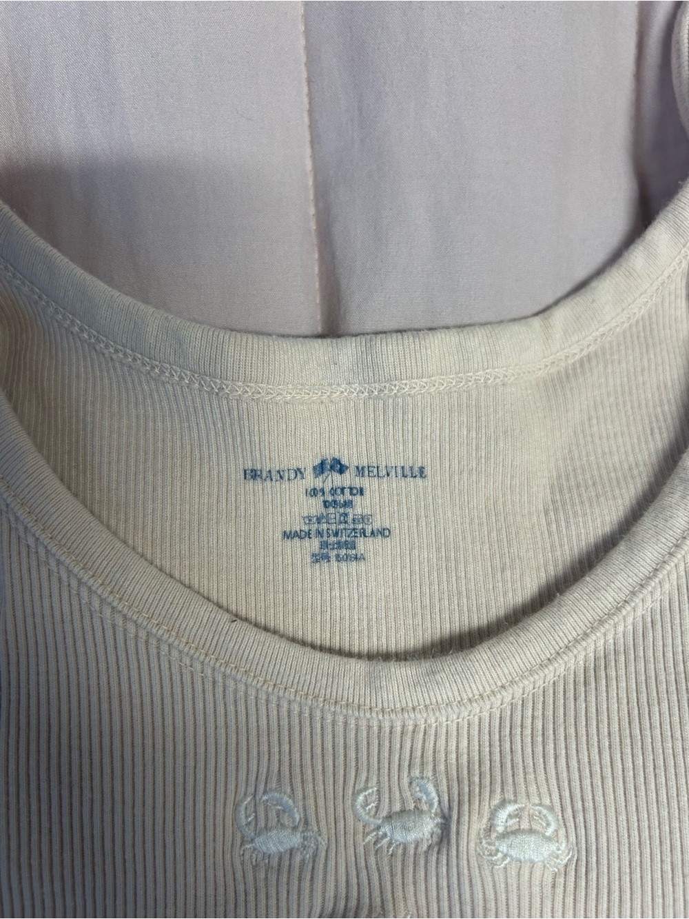 Brandy Melville Cream Ribbed Tank with Subtle Embroidery - Picture 5 of 5
